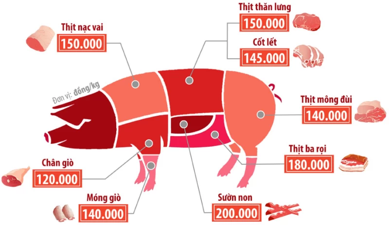 BTV - Giá heo hơi hôm nay 28/4/2025: Miền Bắc vẫn chạm đáy, miền Nam tiếp tục giảm