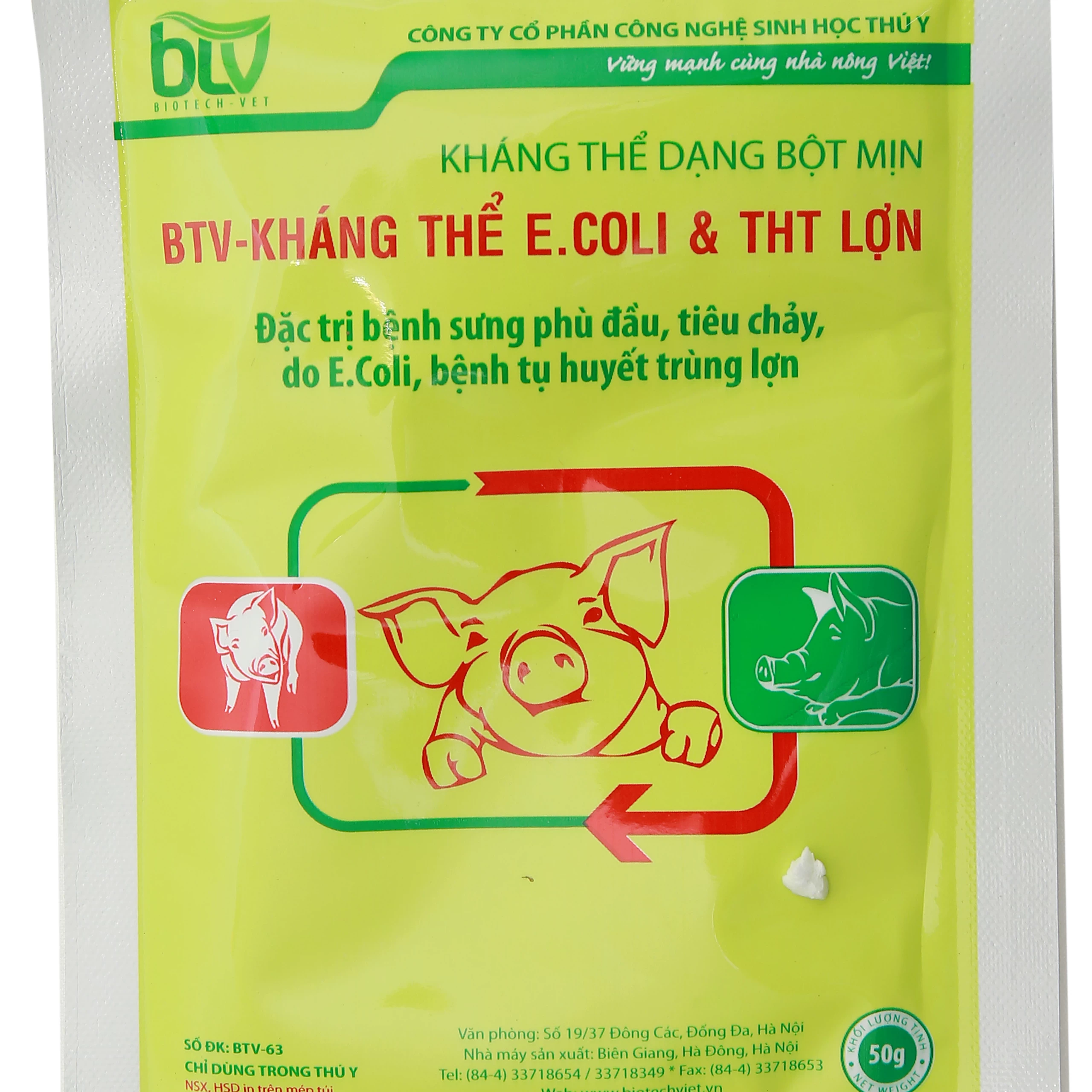 BTV-  KHÁNG THỂ ECOLI -THT LỢN (DẠNG BỘT)