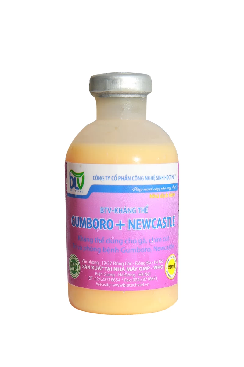 BTV-KHÁNG THỂ NEWCASTLE -GUMBORO BTV-43