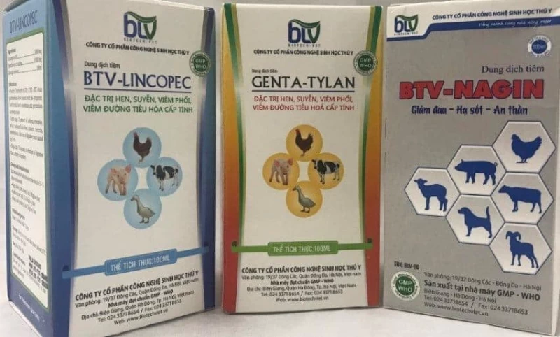 Chuyên gia BTV hướng dẫn cách điều trị gà rướn cổ