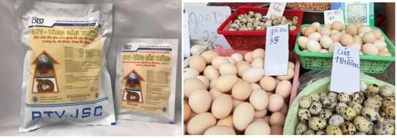 Giá Trứng gà bất ngờ tăng giá cao kỷ lục