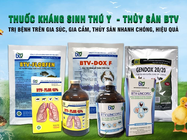 Văn hóa BTV