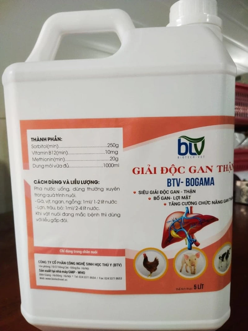 Vì sao phải thường xuyên dùng thuốc giải độc gan, thận cho vật nuôi hàng ngày